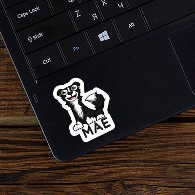 Sticker Mae Border Collie Laptop Image