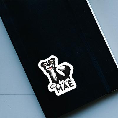 Sticker Mae Border Collie Notebook Image