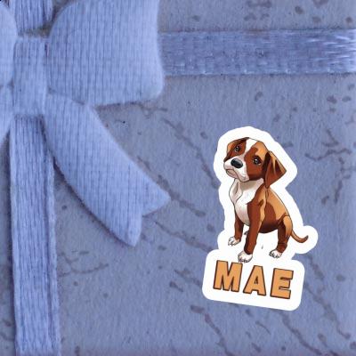 Aufkleber Mae Boxerhund Gift package Image