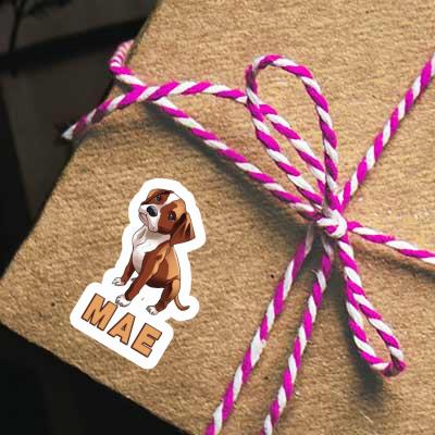 Aufkleber Mae Boxerhund Gift package Image