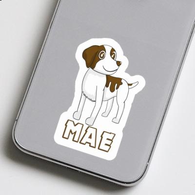 Mae Autocollant Bretagne chien Gift package Image