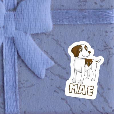 Aufkleber Mae Spaniel Gift package Image