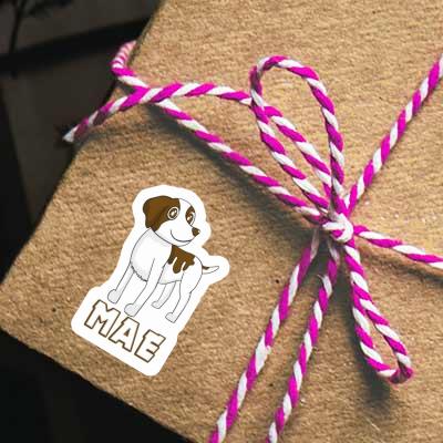 Mae Autocollant Bretagne chien Gift package Image