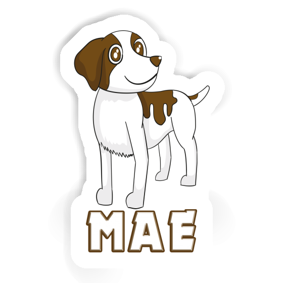 Aufkleber Mae Spaniel Gift package Image