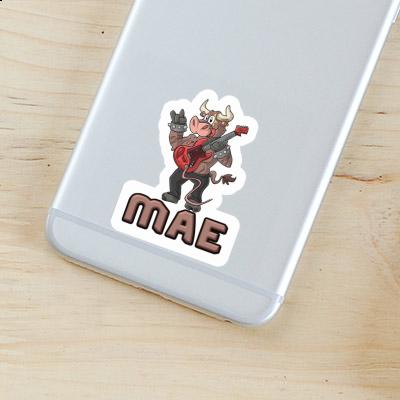 Sticker Guitarist Mae Gift package Image