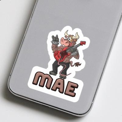 Sticker Guitarist Mae Image