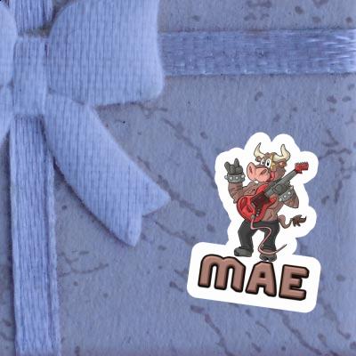 Sticker Guitarist Mae Gift package Image