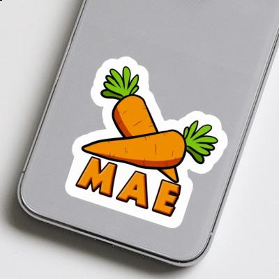 Sticker Carrot Mae Notebook Image