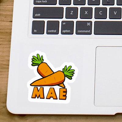 Sticker Carrot Mae Gift package Image