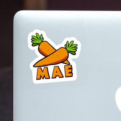 Sticker Carrot Mae Notebook Image