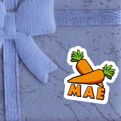 Sticker Carrot Mae Notebook Image