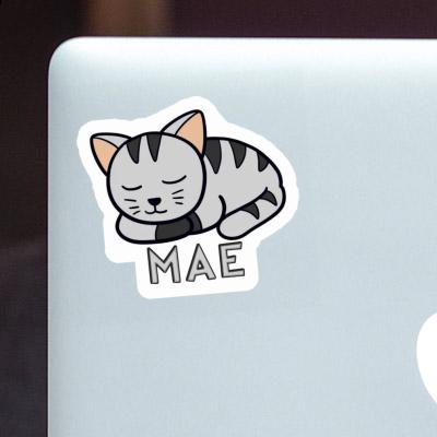 Sticker Cat Mae Gift package Image