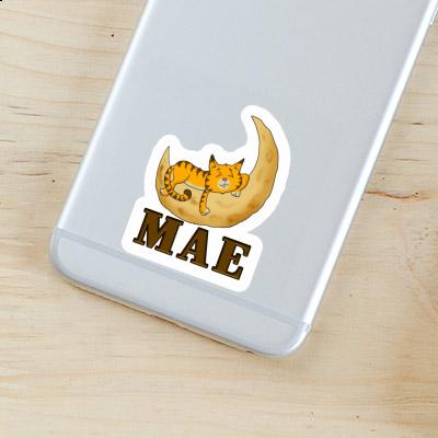 Mae Sticker Cat Gift package Image