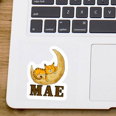 Mae Sticker Cat Gift package Image