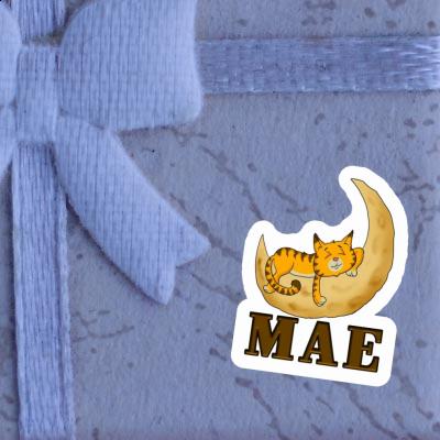 Mae Sticker Cat Notebook Image