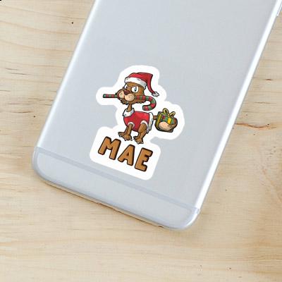 Mae Sticker Christmas Cat Laptop Image