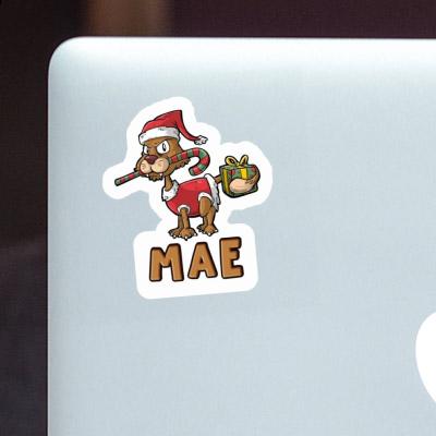 Mae Sticker Christmas Cat Gift package Image