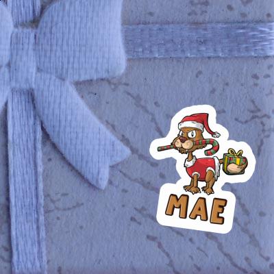 Mae Sticker Christmas Cat Notebook Image