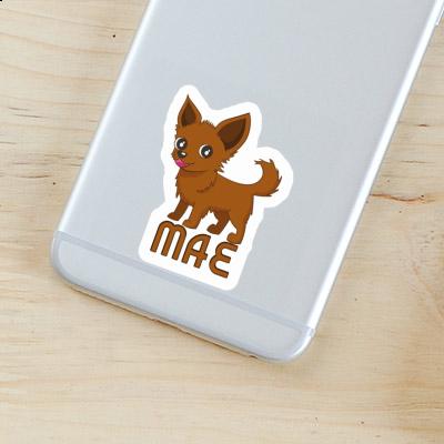 Sticker Mae Chihuahua Gift package Image