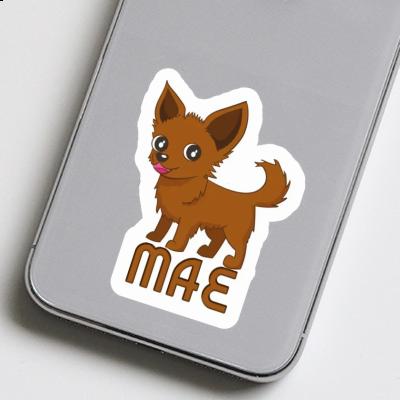 Sticker Mae Chihuahua Image