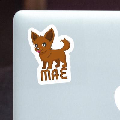 Chihuahua Aufkleber Mae Laptop Image