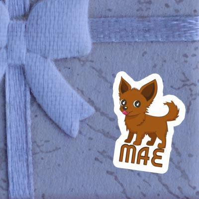 Sticker Mae Chihuahua Gift package Image