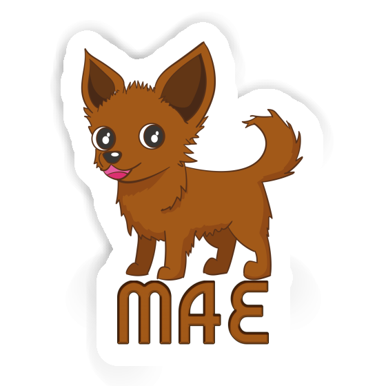 Sticker Mae Chihuahua Laptop Image