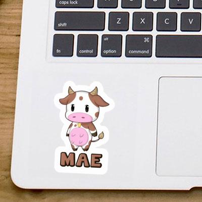 Sticker Mae Cow Notebook Image