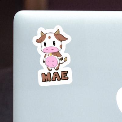 Sticker Mae Cow Laptop Image