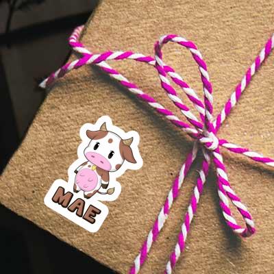 Sticker Mae Cow Gift package Image