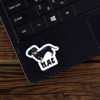 Mae Sticker Dachshund Notebook Image