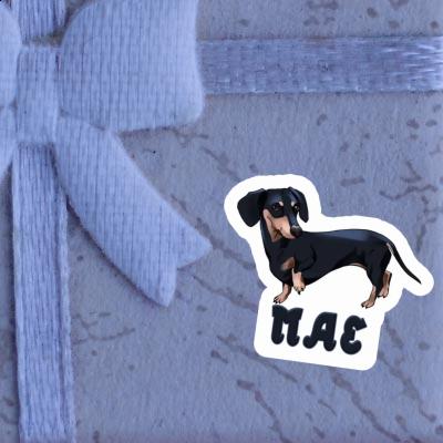 Mae Sticker Dachshund Laptop Image