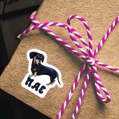 Mae Sticker Dachshund Laptop Image