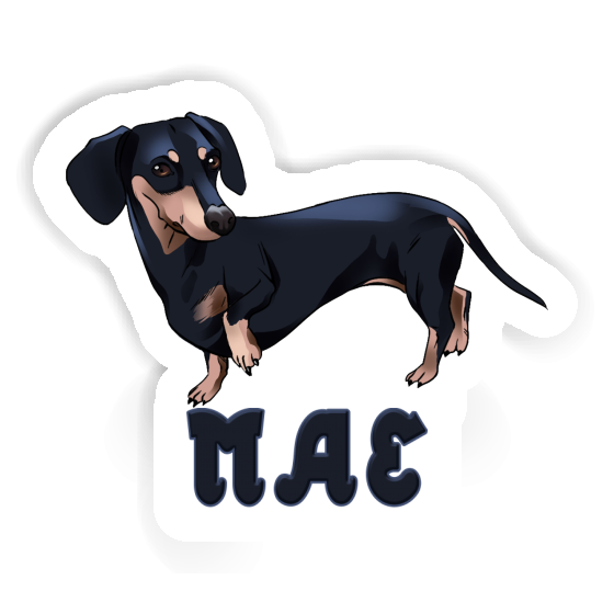 Mae Sticker Dachshund Gift package Image