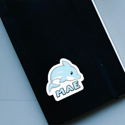 Sticker Dolphin Mae Notebook Image