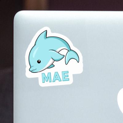 Mae Sticker Dolphin Gift package Image