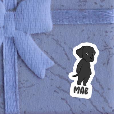 Labrador Retriever Autocollant Mae Gift package Image