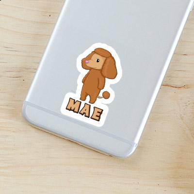 Sticker Mae Poodle Gift package Image