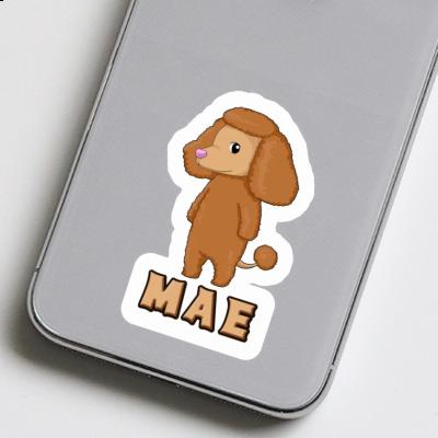 Sticker Mae Poodle Laptop Image