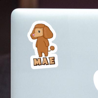 Sticker Mae Poodle Image