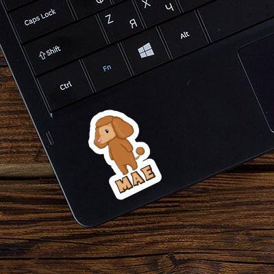 Sticker Mae Poodle Laptop Image