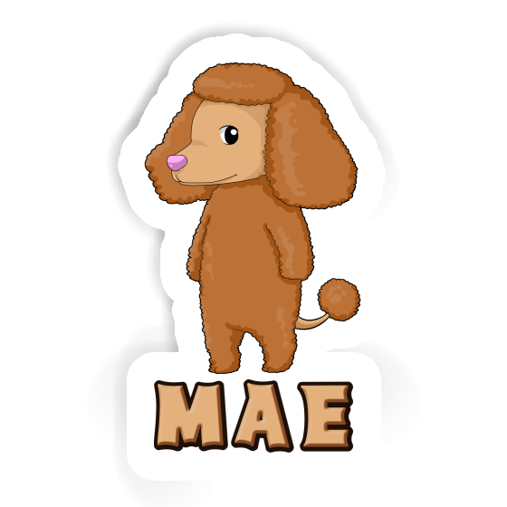 Sticker Mae Poodle Gift package Image