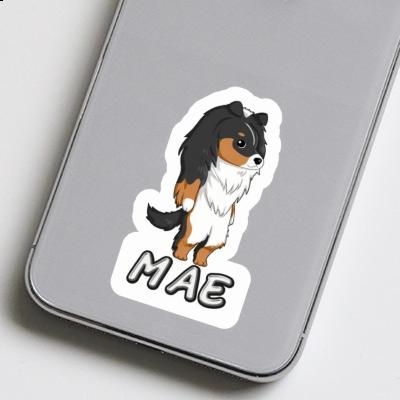 Aufkleber Mae Shetland Sheepdog Laptop Image