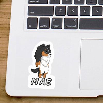 Aufkleber Mae Shetland Sheepdog Laptop Image