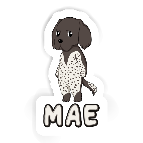 Mae Sticker Kleiner Münsterländer Laptop Image