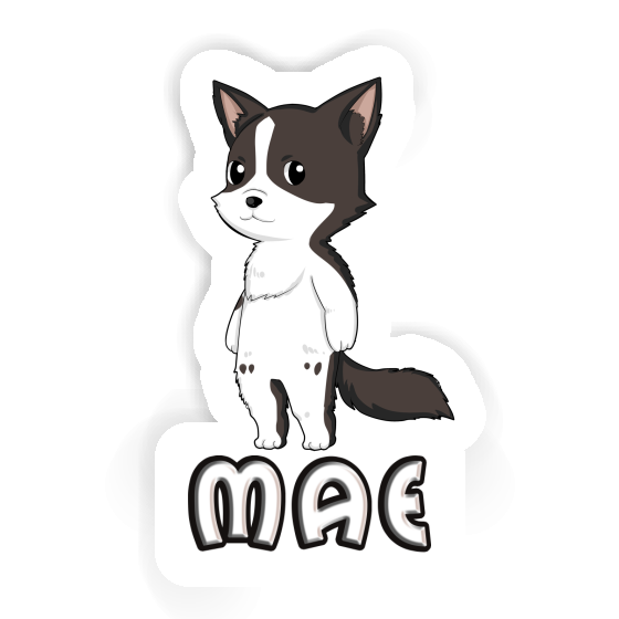 Mae Sticker Border Collie Laptop Image