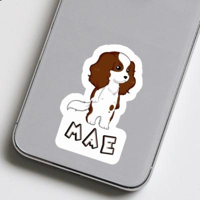 Autocollant Mae Cavalier King Charles Spaniel Laptop Image