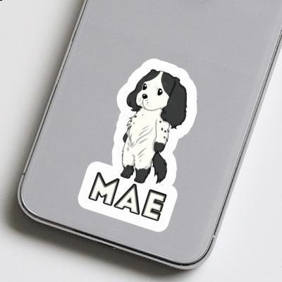 Sticker Mae English Cocker Spaniel Gift package Image