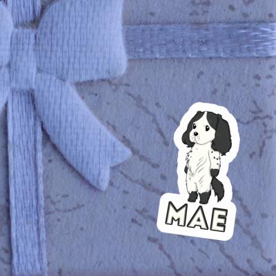 Sticker Mae English Cocker Spaniel Laptop Image