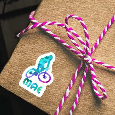 Mae Sticker Downhiller Gift package Image